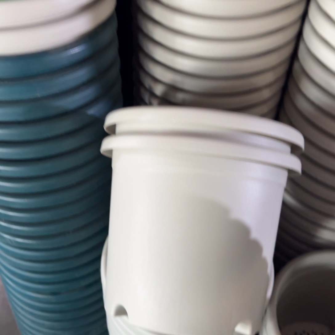 树脂特价3#无拖灰白10个