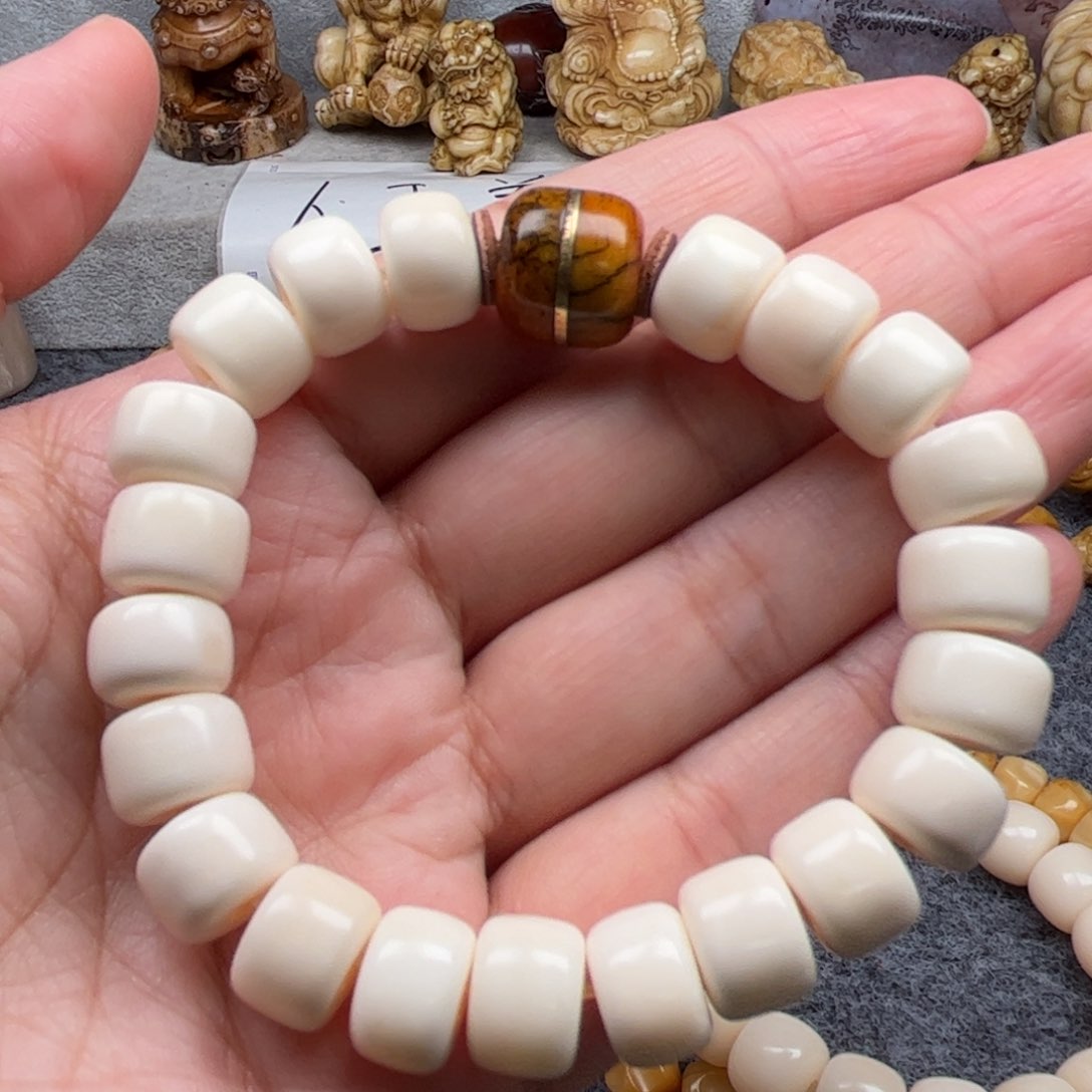 鹿骨其他人工养殖驼骨9