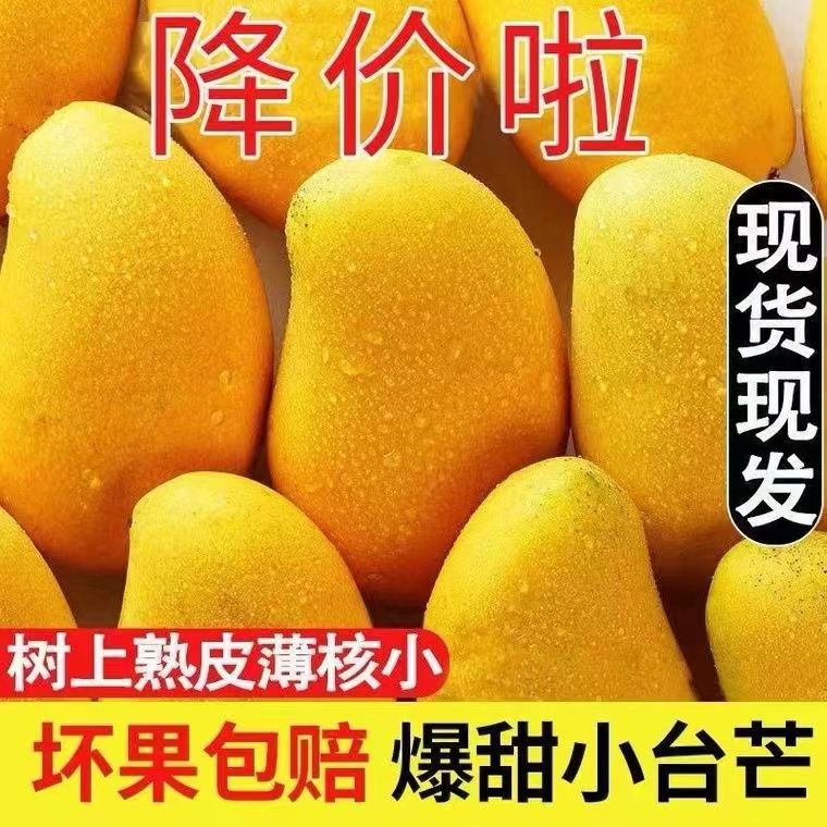 【F亏钱助农】产地直发爆甜正宗小台芒5斤应当季新鲜甜水果台农芒果