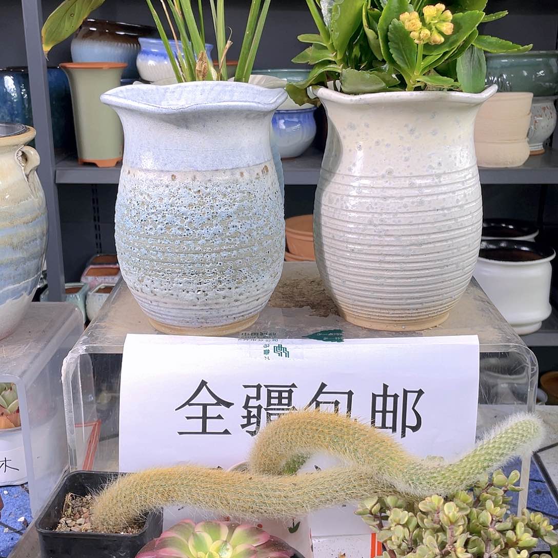 粗陶中号花盆两个装