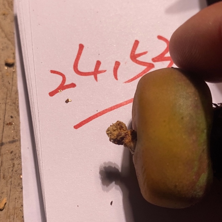 24153一个一个一个