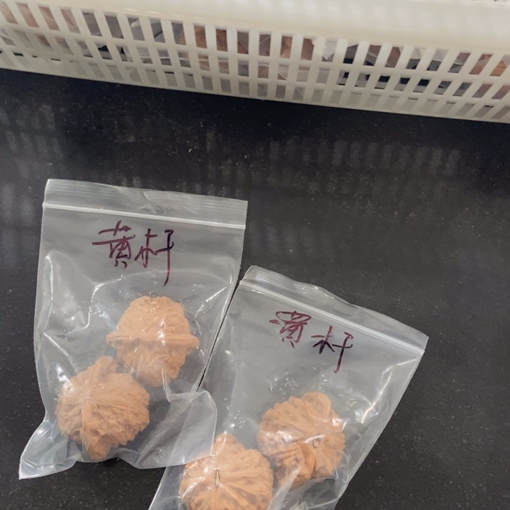 吊坠文玩核桃大黄杆