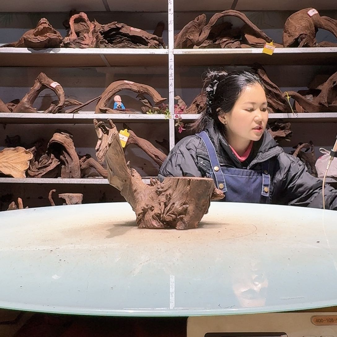 倍褚沉木不包损必褪色小****86804