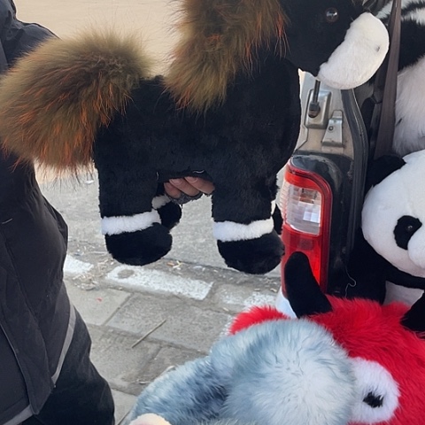 好看好看马到成功