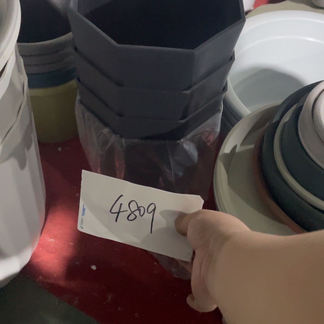 小*女编号是4809的编号