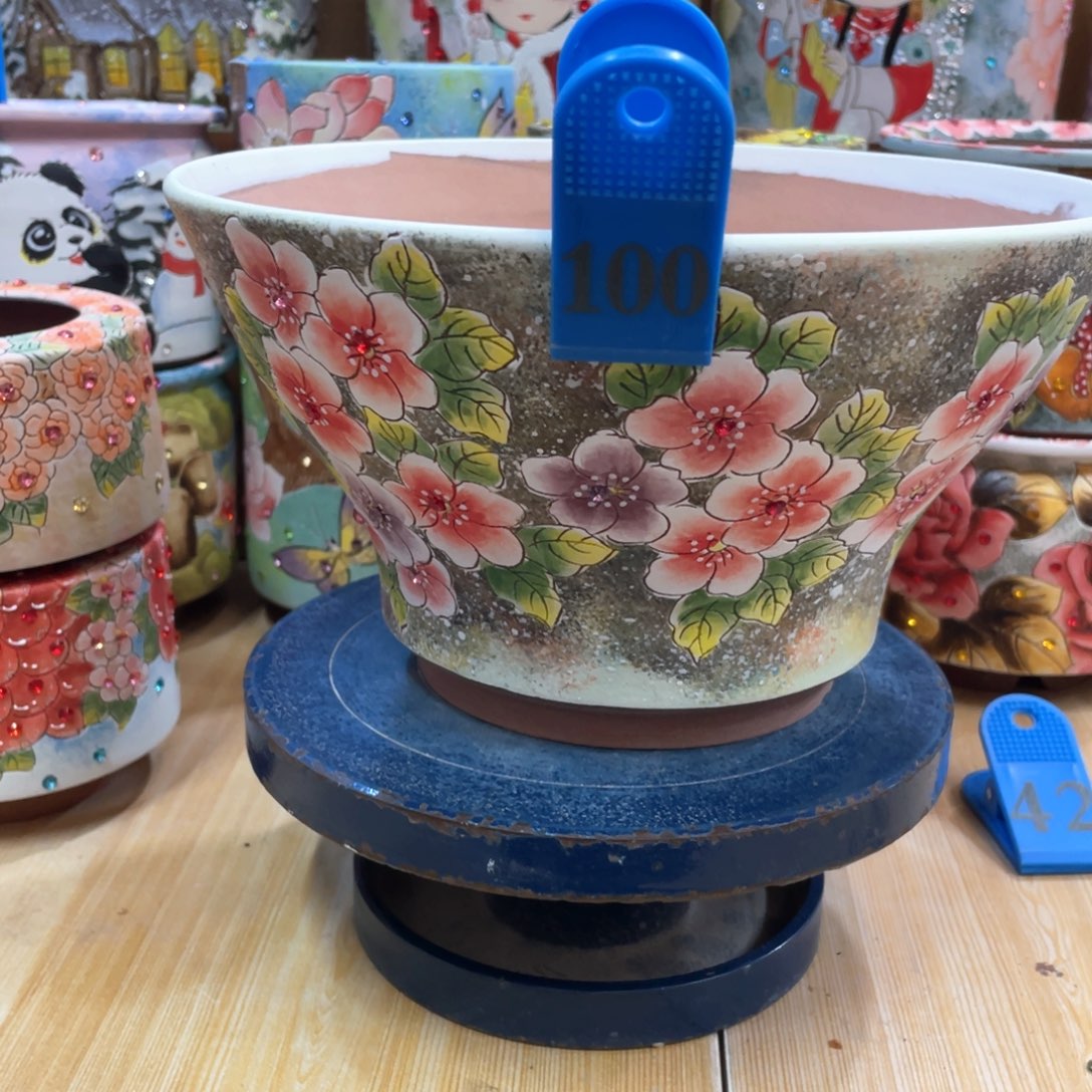 多肉花盆万象花盆
