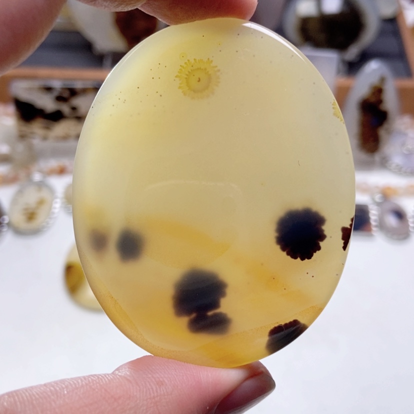 【闪购商品】玛瑙/玉髓颈饰未镶嵌