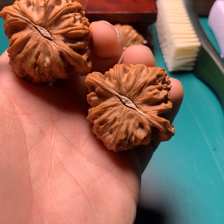 把件文玩核桃゛****ゝ白狮子