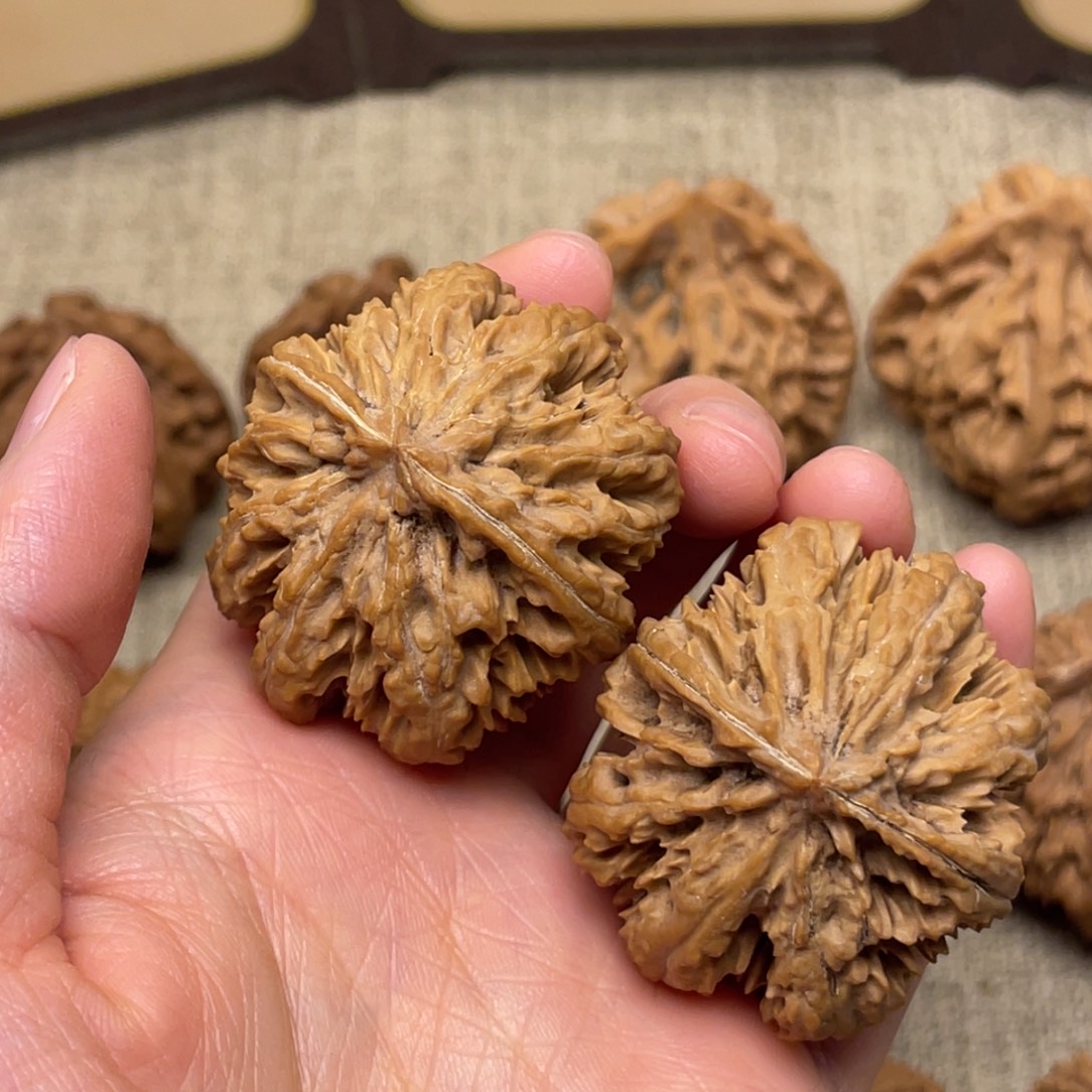 文玩核桃把件秦岭核桃16号