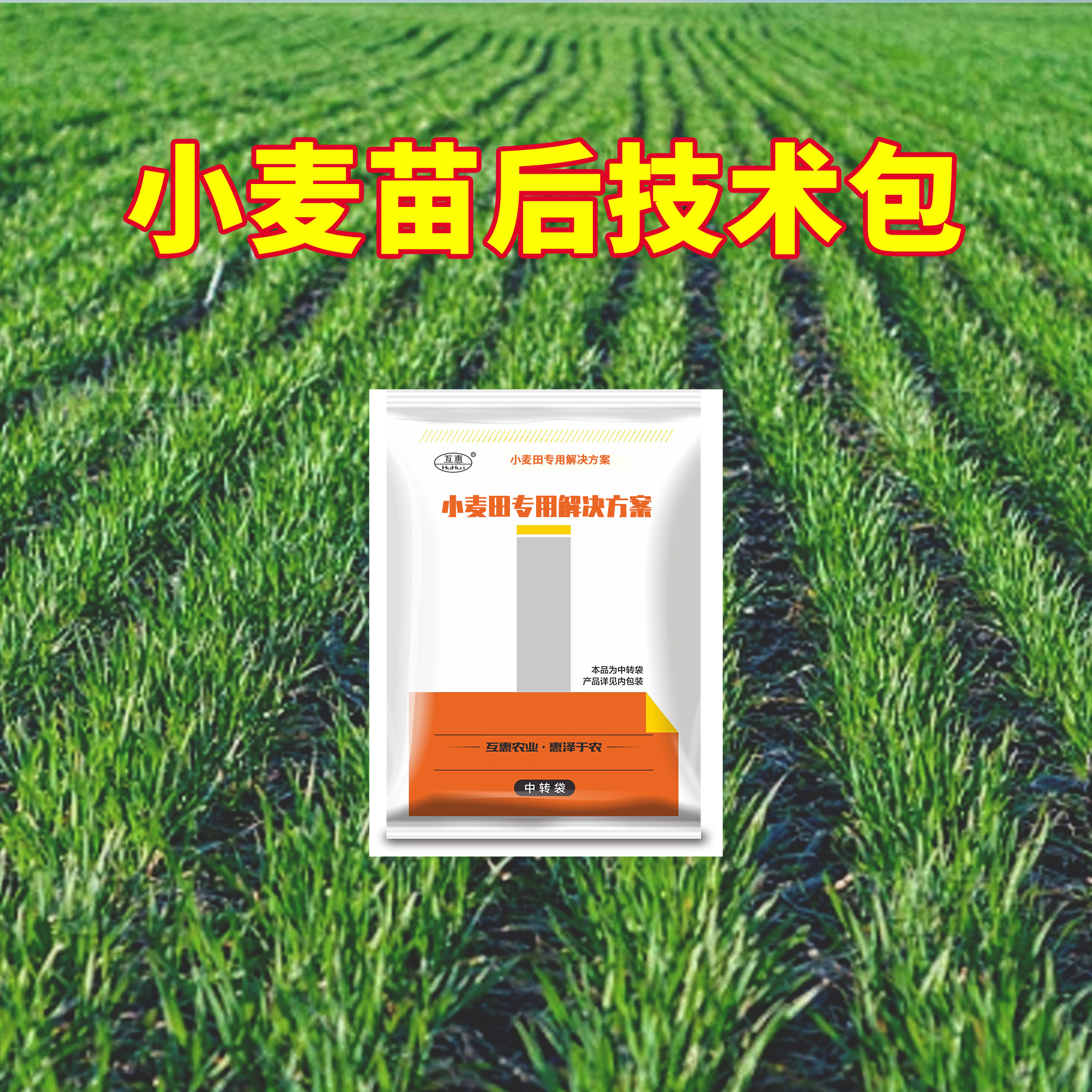 小麦苗后专用看麦娘早熟禾马齿笕水溶肥