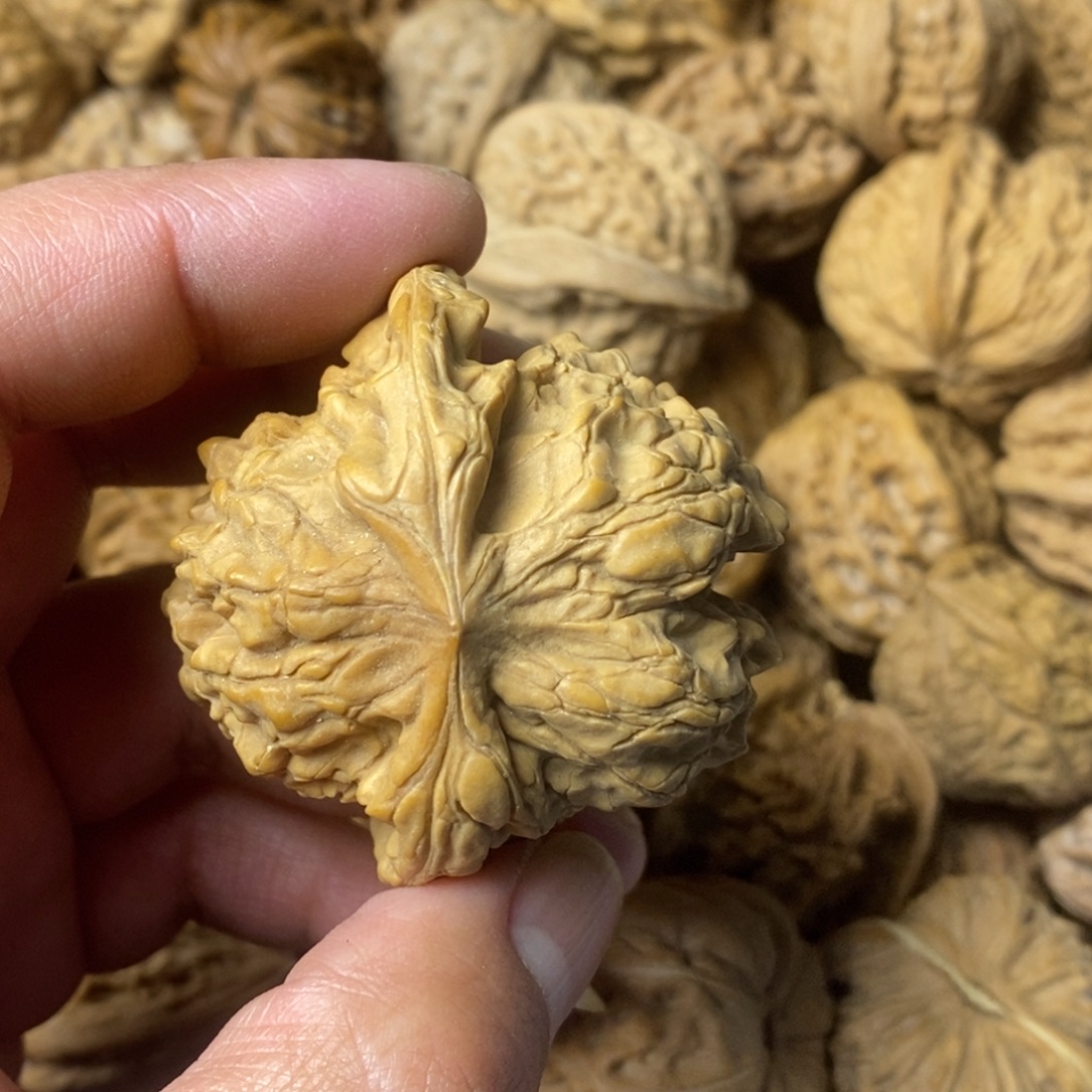 田***桐文玩核桃吊坠文玩