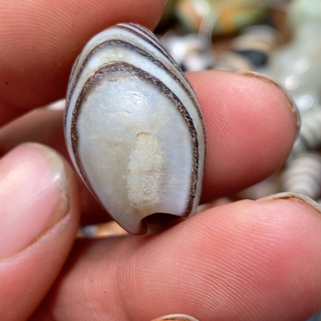 未镶嵌珠子的颜色是玛瑙/玉髓心*