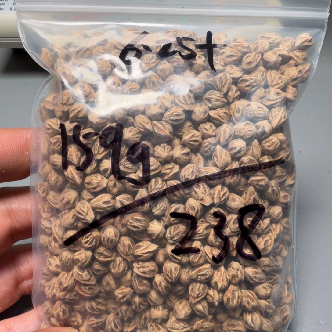 吊坠柏香籽/百香籽金*座