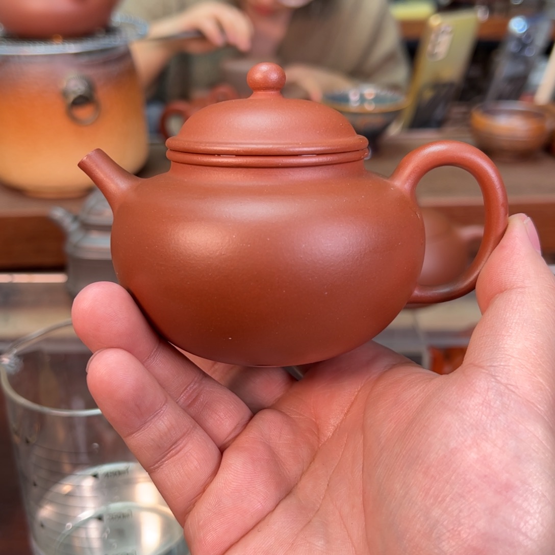 都**狸红皮龙荣天180cc小精品