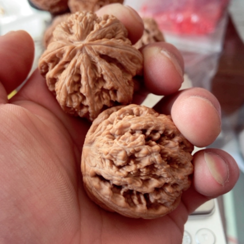 【闪购商品】太*水41全品无修大粗筋