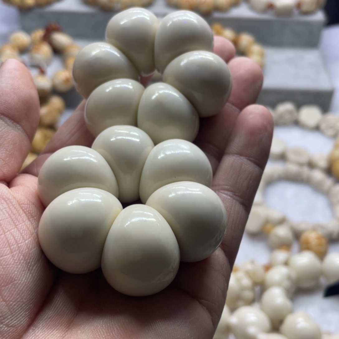 菩提根/象牙果吊坠全品象牙果蒜瓣手捻卡25有生长纹