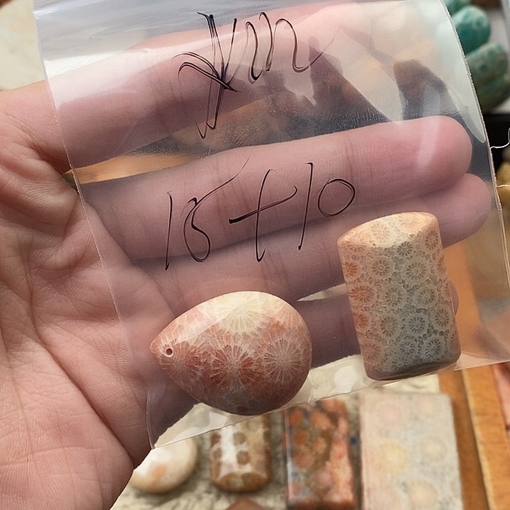 Y****硅化玉（树化玉）未镶嵌颈饰