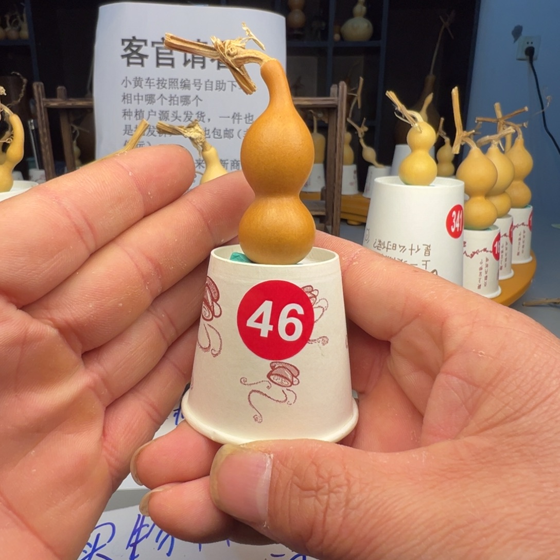 闪电购自助下单编号46