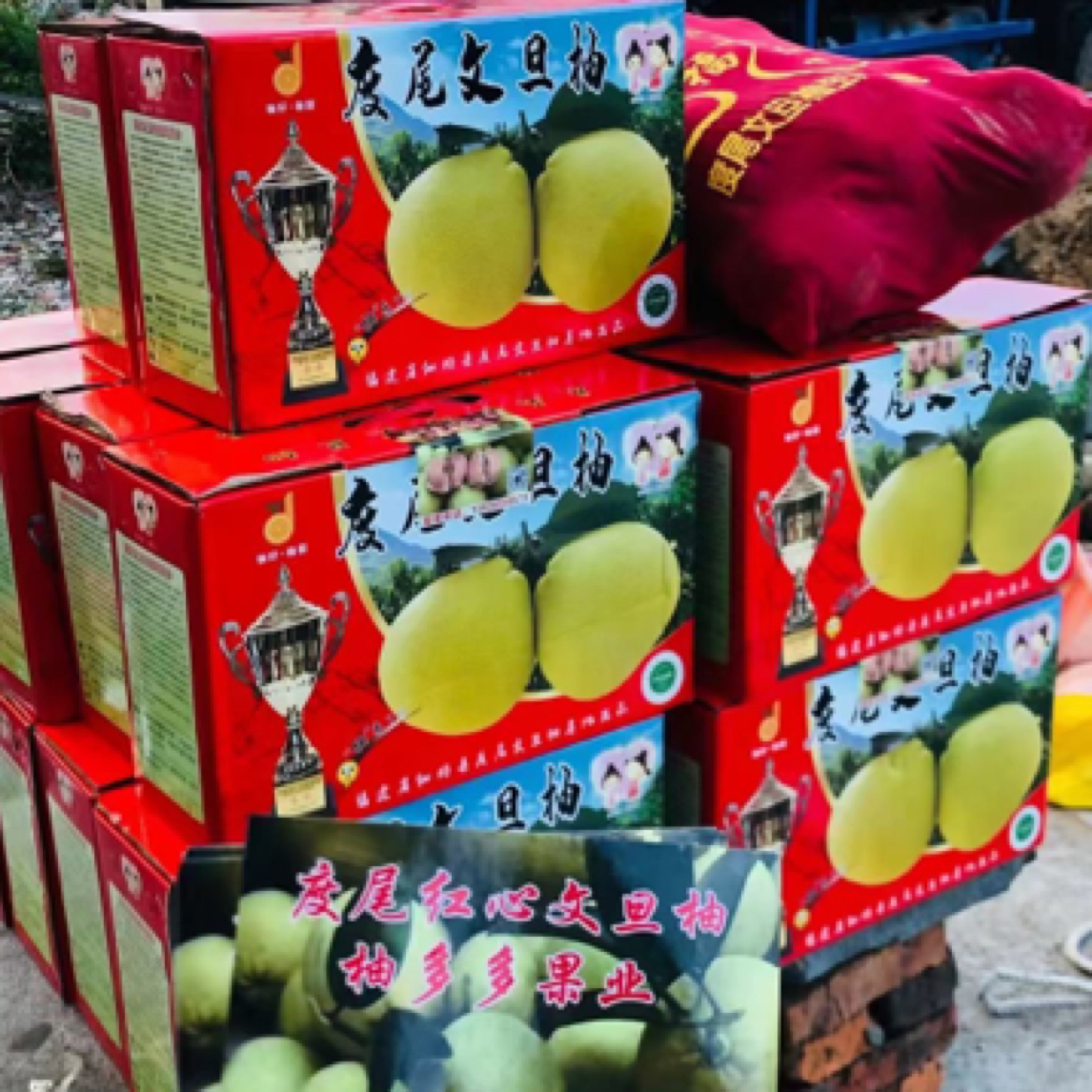 送礼送柚子，健康有面子