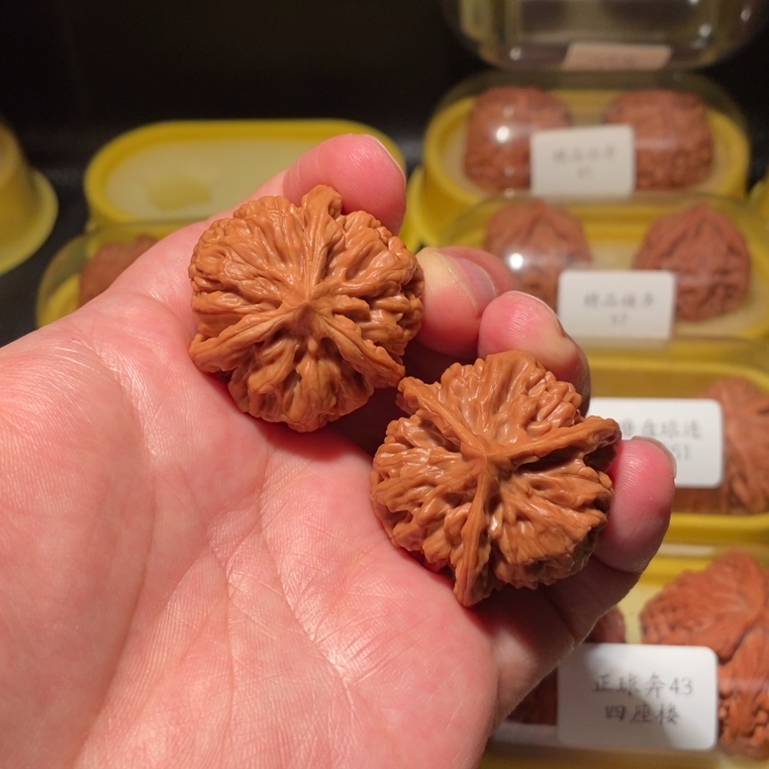 36+秦王矮球奔精品对