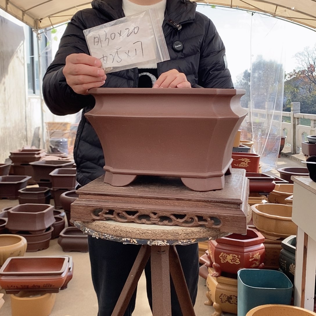 紫砂花盆紫砂花盆