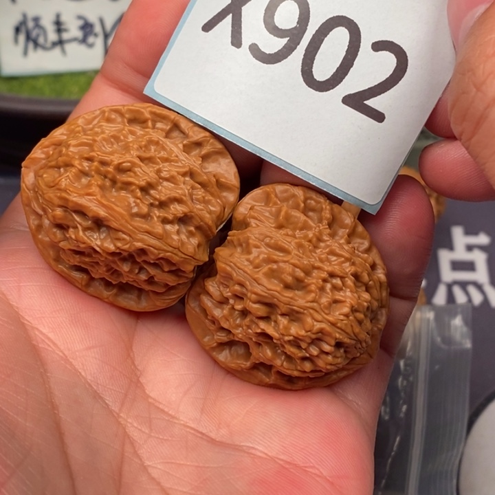 文玩核桃把件白狮3615902