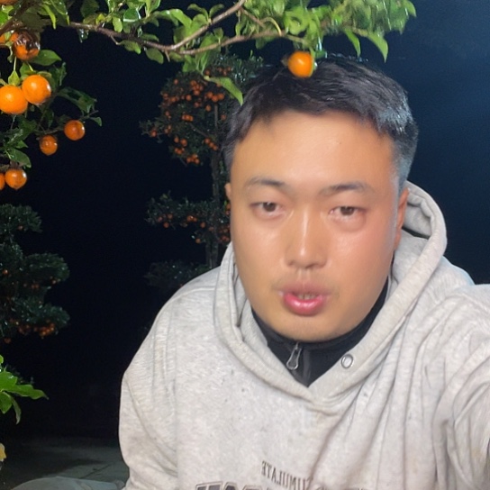无花朵金弹子庭院原生品种