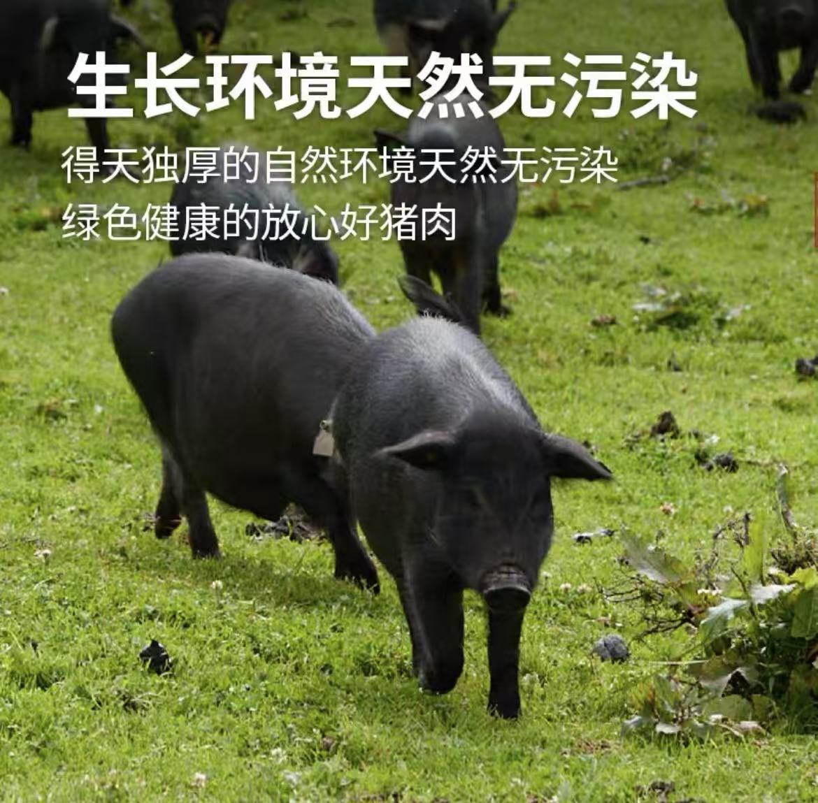 【猪肝】正宗散养一年半黑土猪吃草跑山猪顺丰冷链
