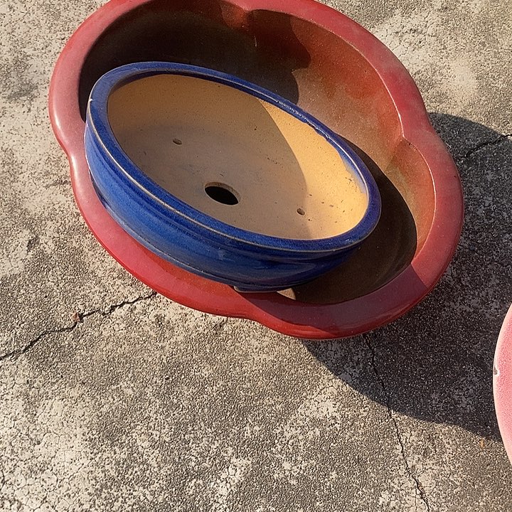 天***淡紫砂花盆88888888888