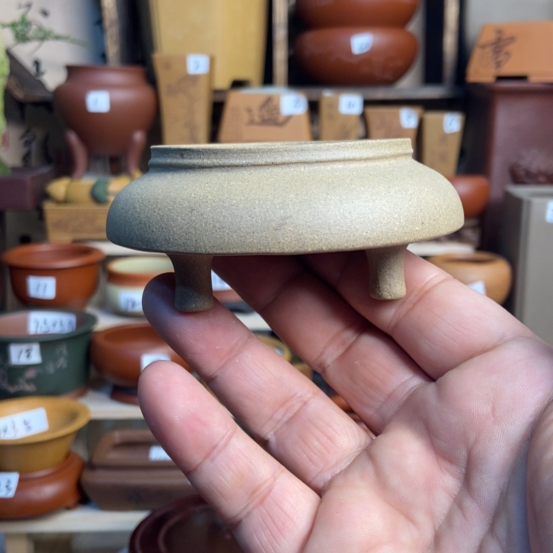 紫砂花盆长青，内口经尺寸6×2