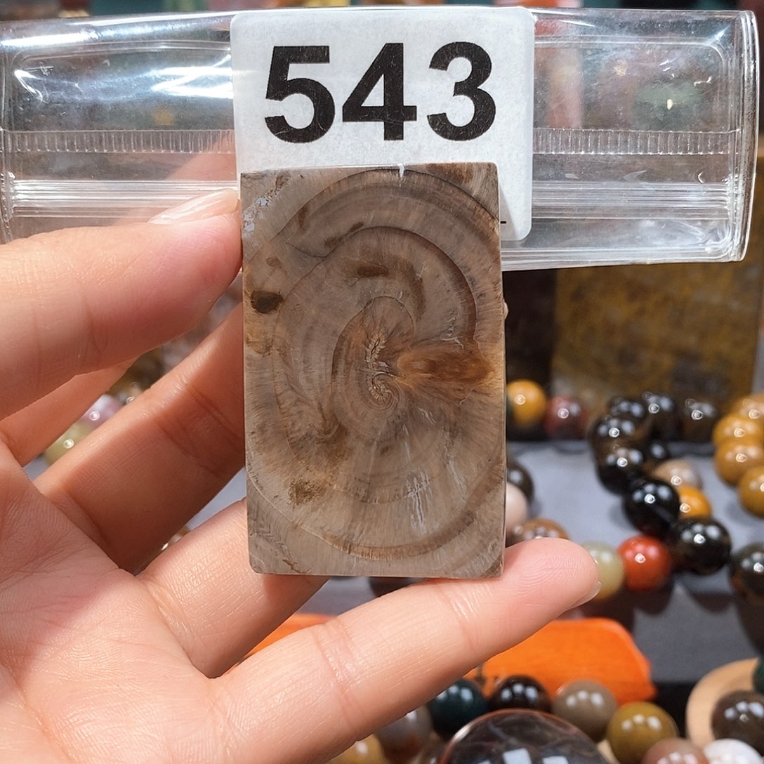硅化玉天然北票硅化玉牌子未镶嵌天然北票硅化玉牌子