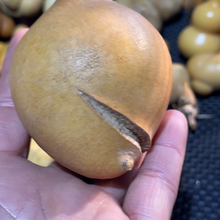 酒***子葫芦葫哈哈哈哈哈哈哈哈