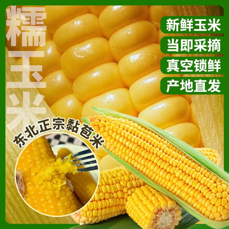 【试吃2棒】真空包装东北玉米新鲜糯玉米东北黄糯甜糯黄玉米共10棒