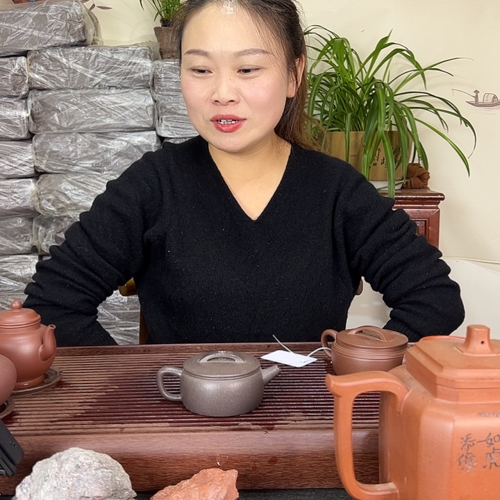 紫砂茶壶宜兴紫砂