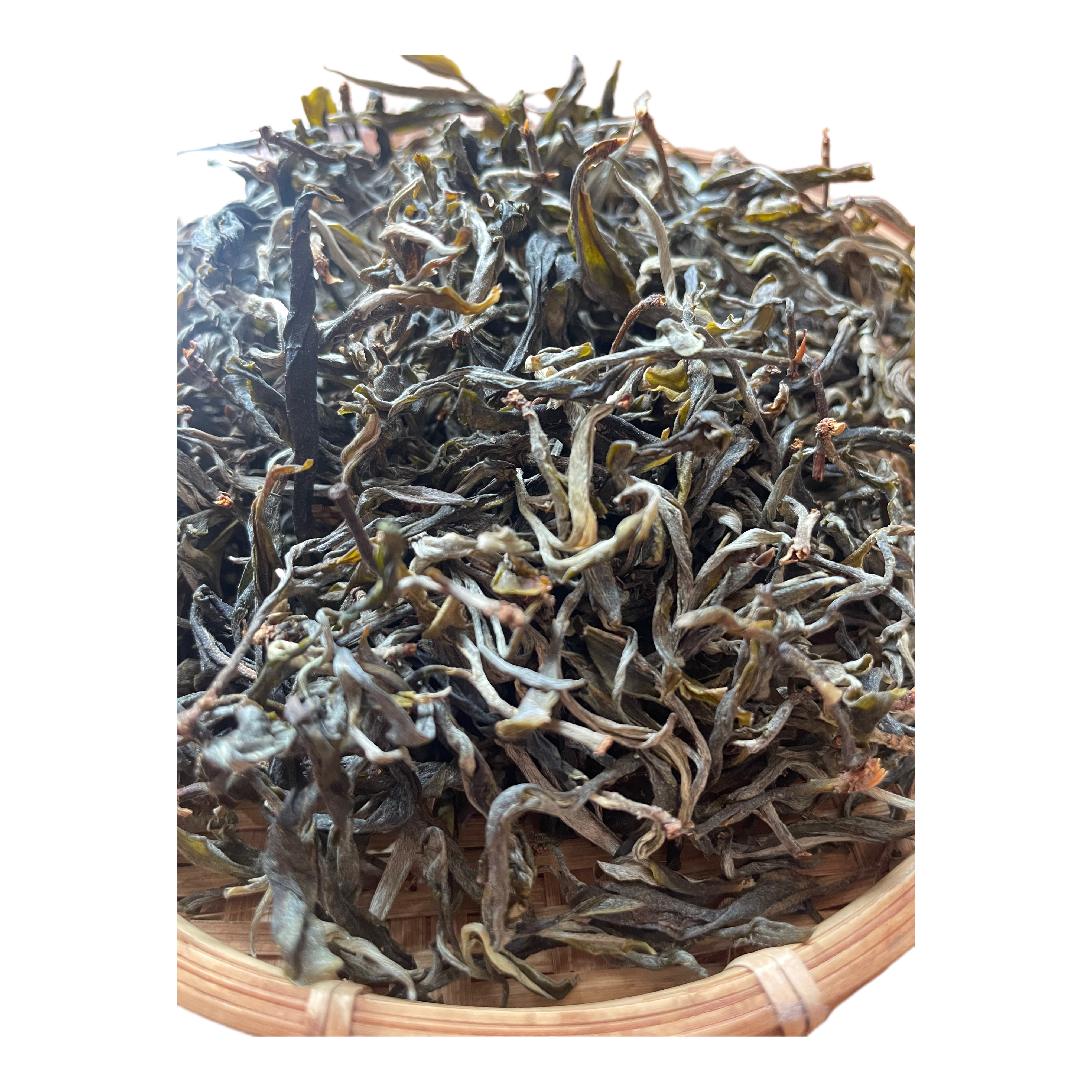 2025年王子山白花箐新茶尝鲜