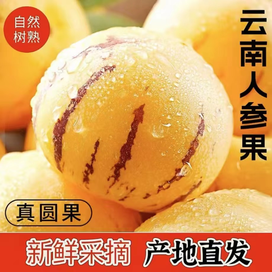 新鲜黄肉人参果云南石林黄心黄肉圆果新鲜多汁清甜人参果新鲜水果