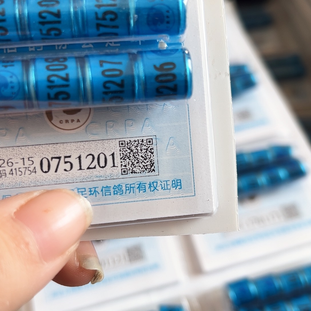 山***国0751201 15 信鸽环