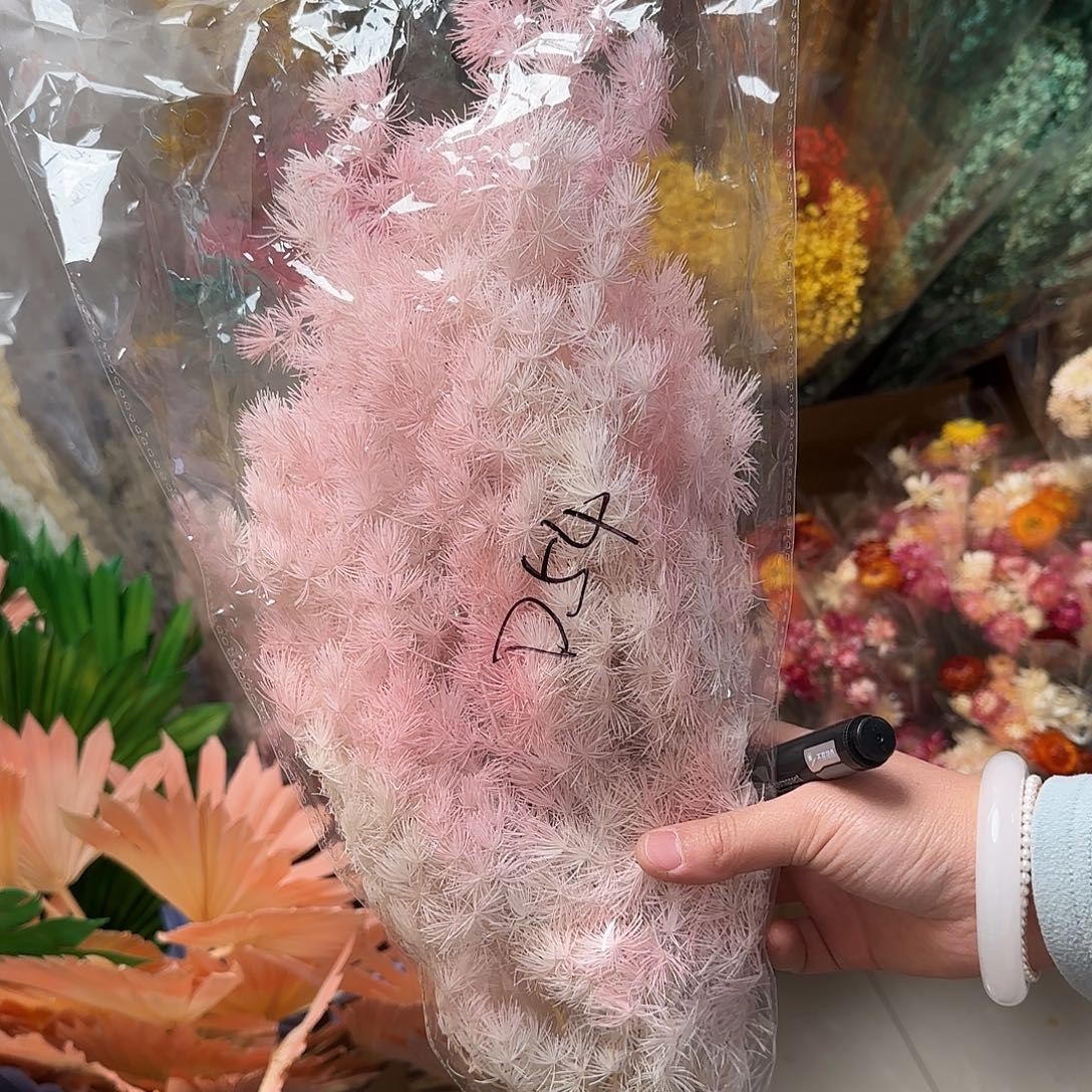 D54号双色蓬莱松1束