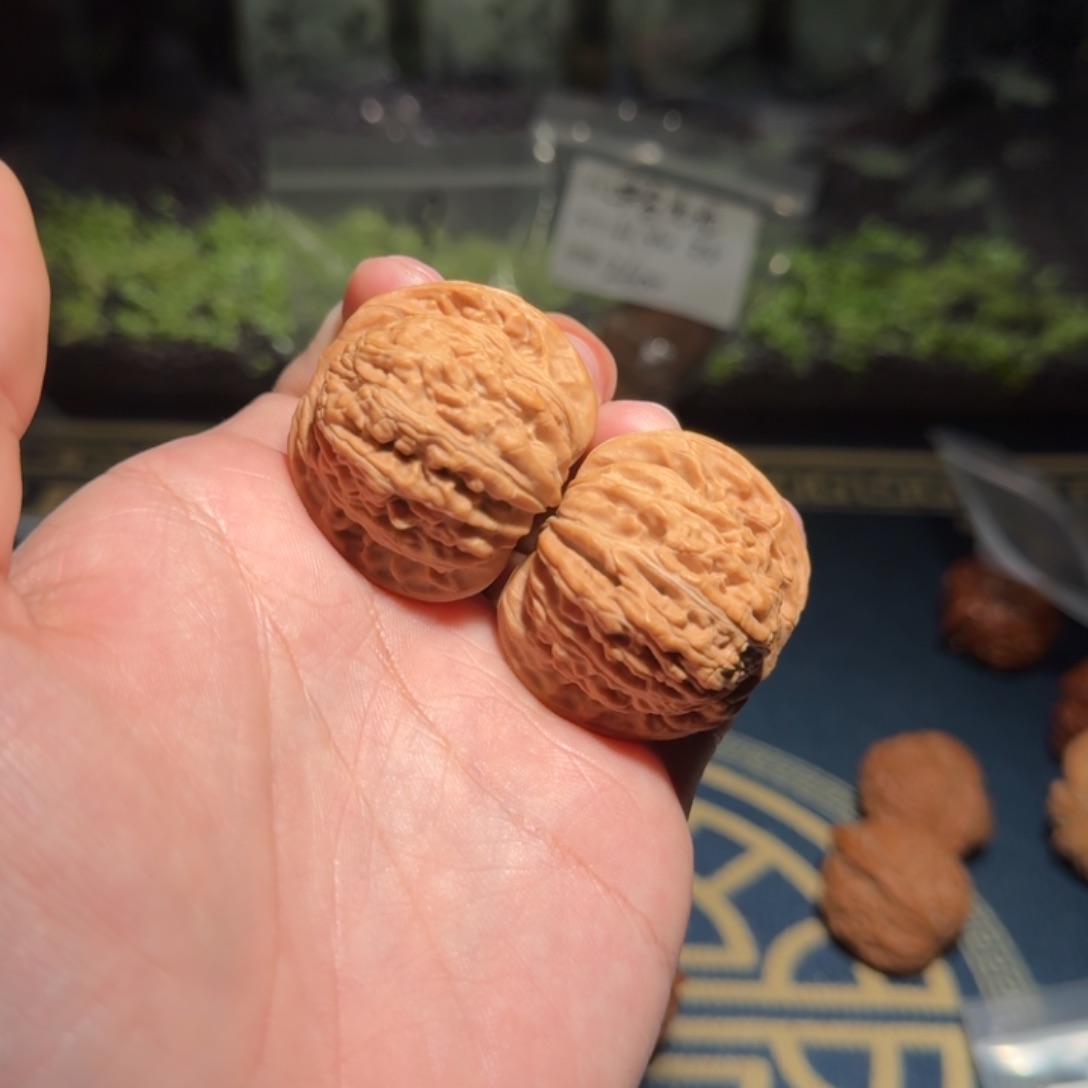 _**.39山西汉高楼文玩核桃