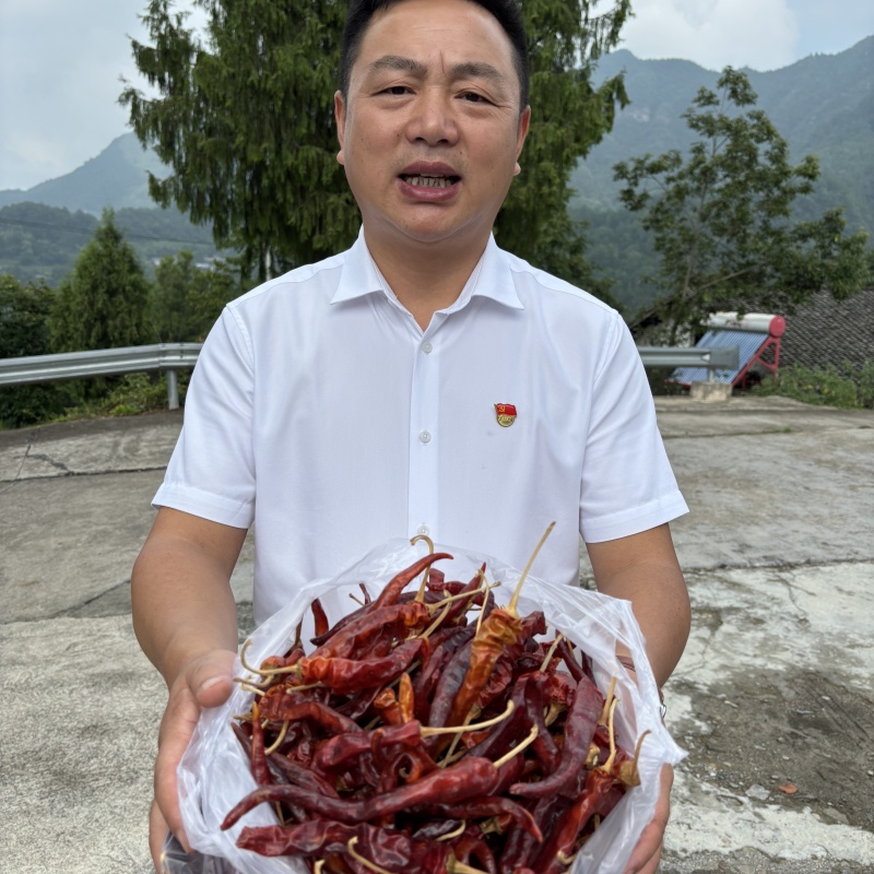 【云才支书助农】农家自种自制辣椒类