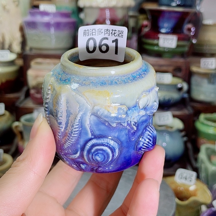 狼盆内口径3高度6