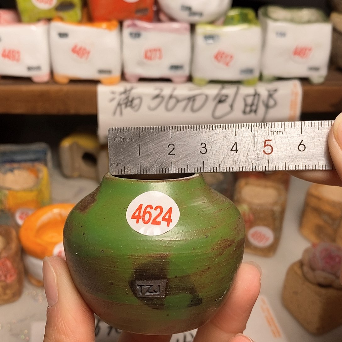 红陶拍5送一个小