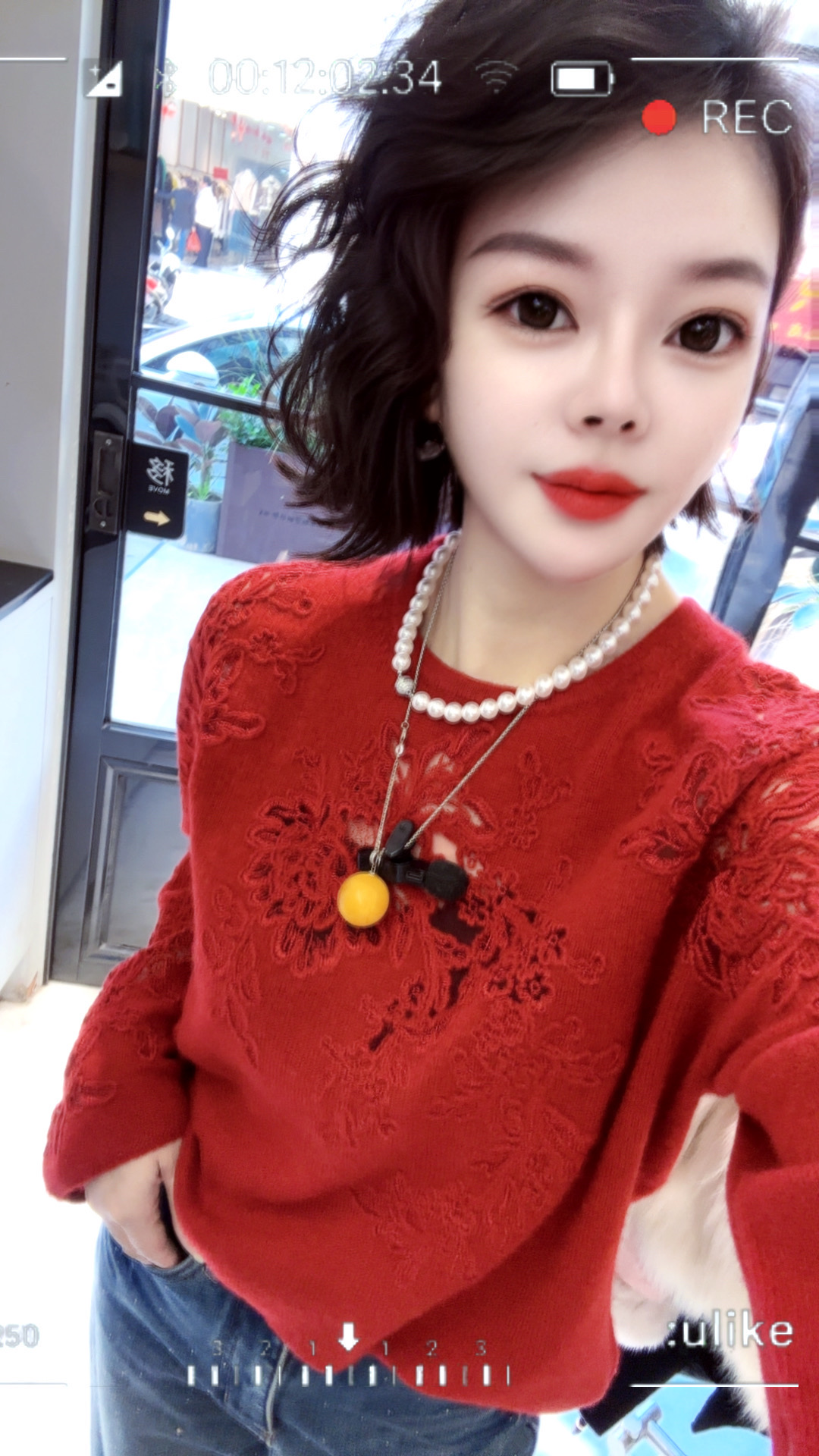 【小韩家】欧货2025冬季新款山羊绒手工盘绣雾朦蕾丝定制套头衫