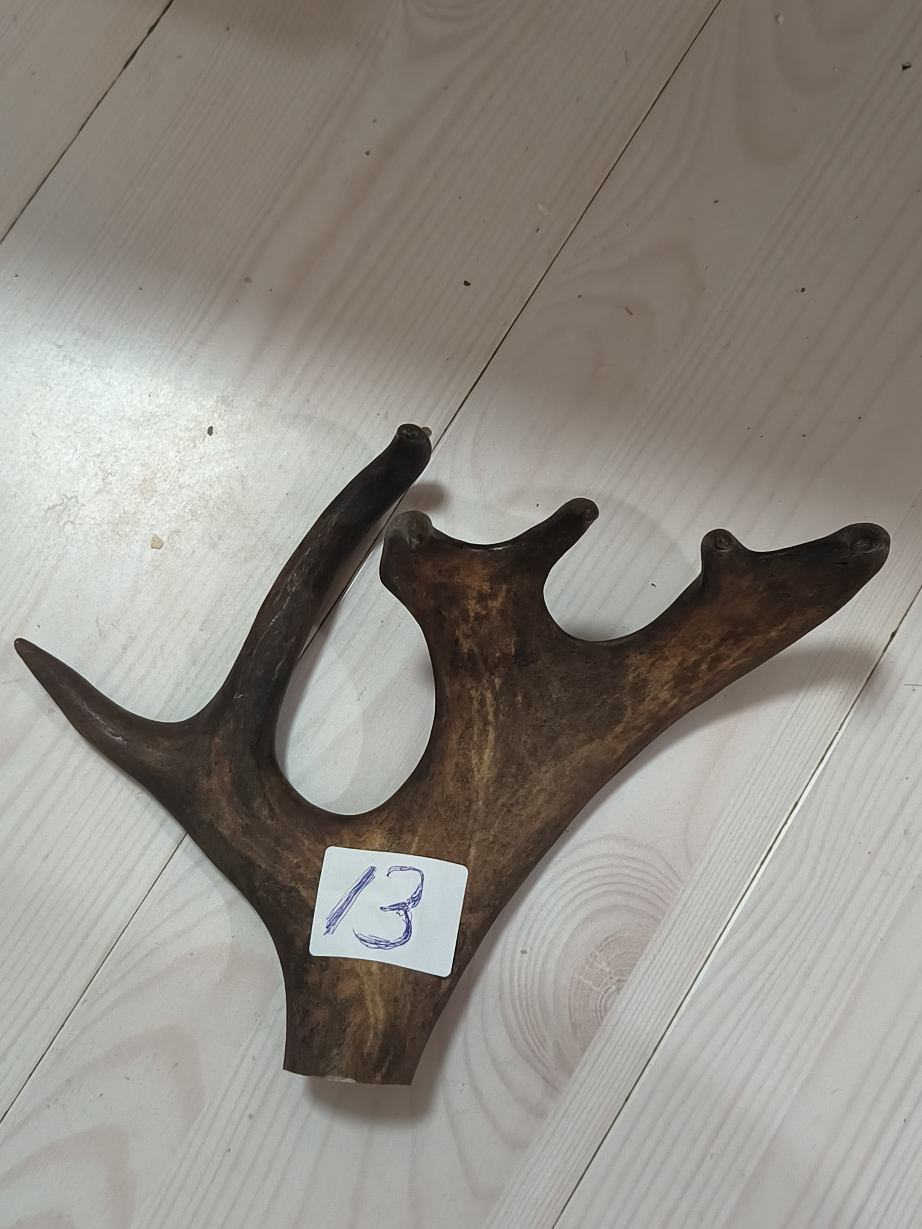 鹿角摆件手把件根雕210克