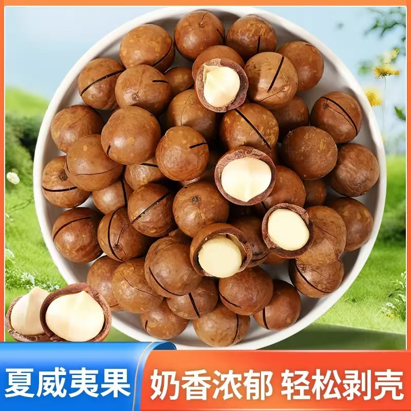 夏威夷果仁奶香味原味夏果干果坚果饱满营养