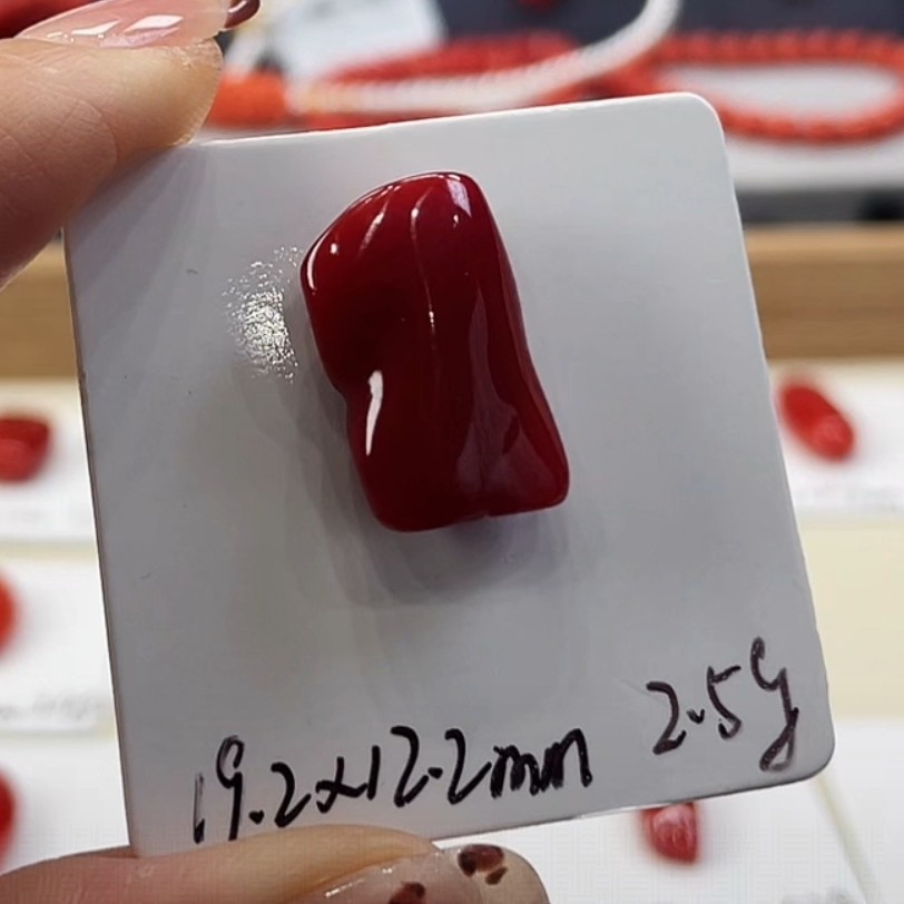 天然宝石红珊瑚裸石