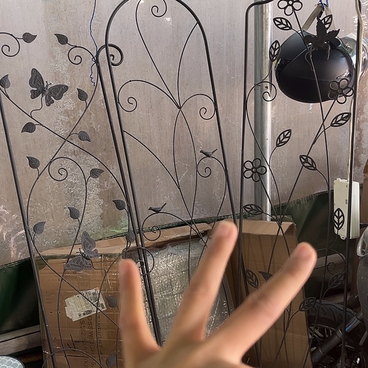 炸炸炸炸炸炸给力啦啦