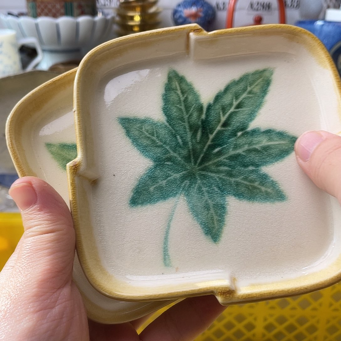 瓷片宗**树哈哈哈我在这一片混乱里的笑