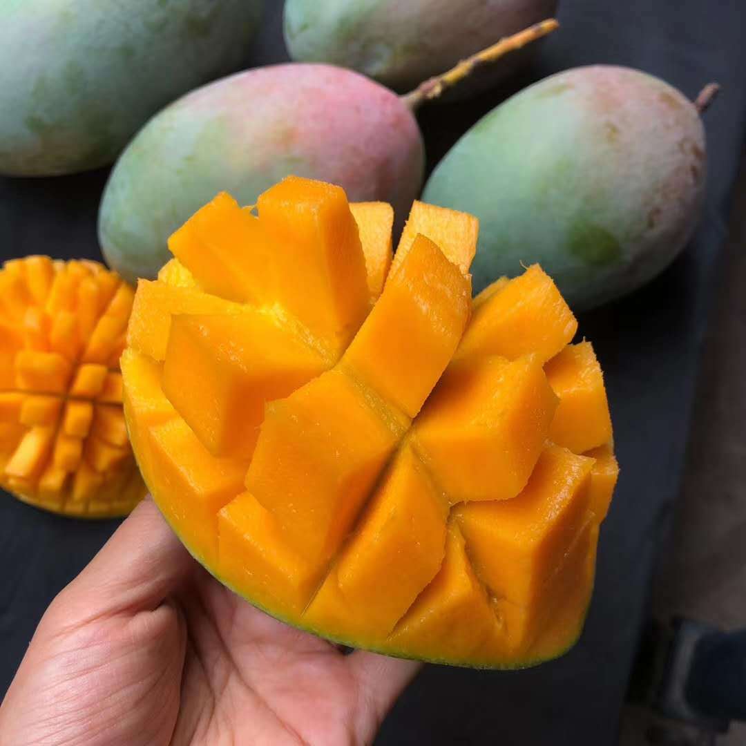 凯特芒 2个