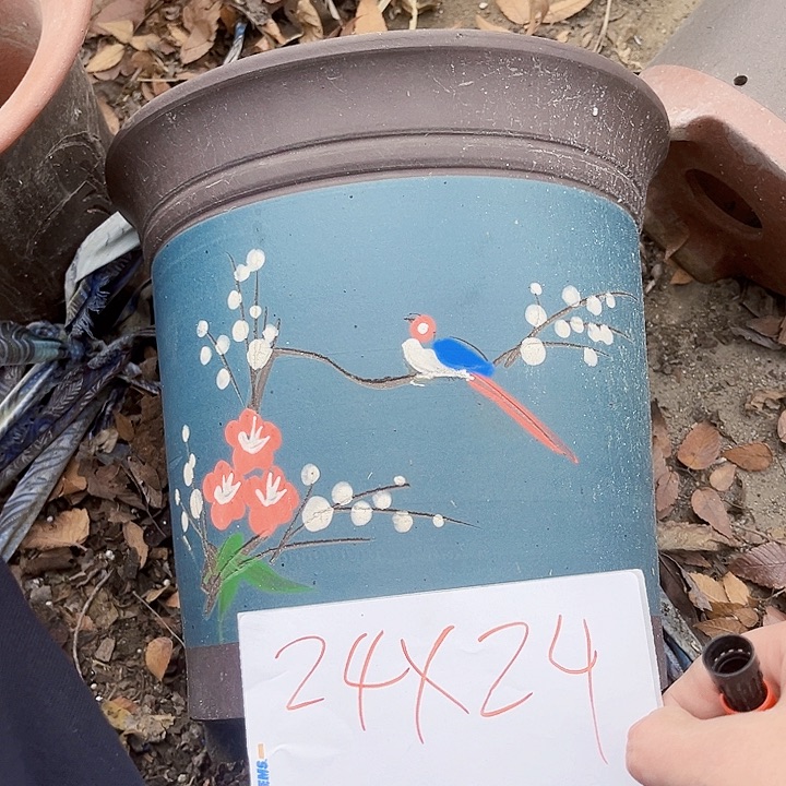 花盆紫砂111111111